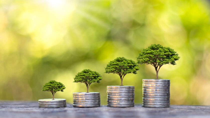Financial Planning Services for Long-Term Wealth Growth
