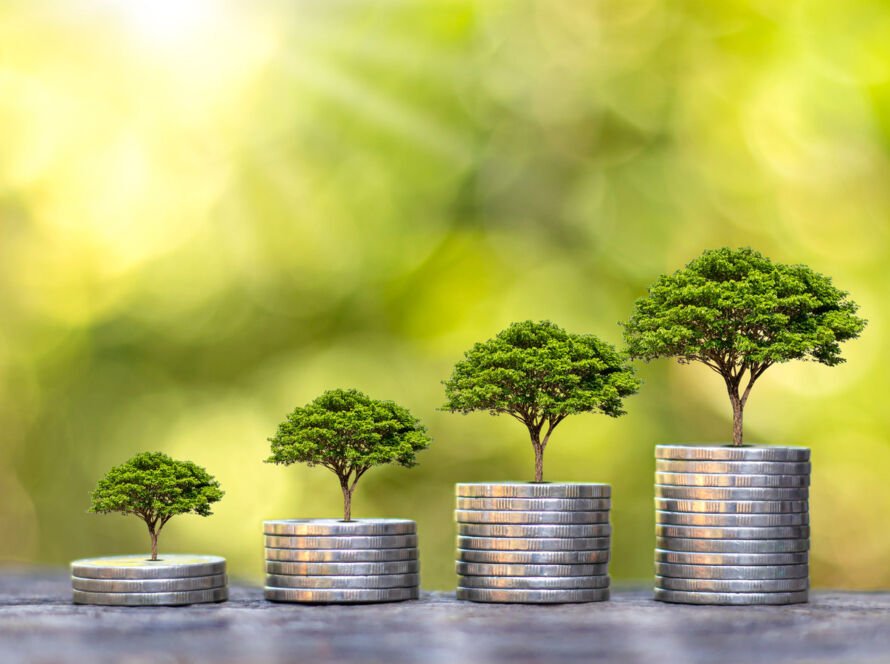 Financial Planning Services for Long-Term Wealth Growth